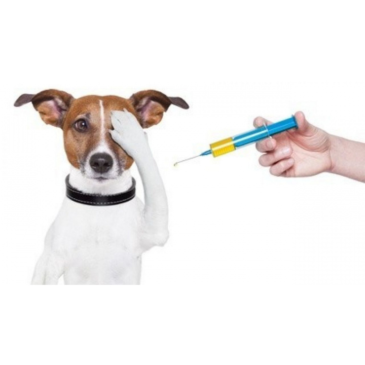 Očkovanie psov - oznam