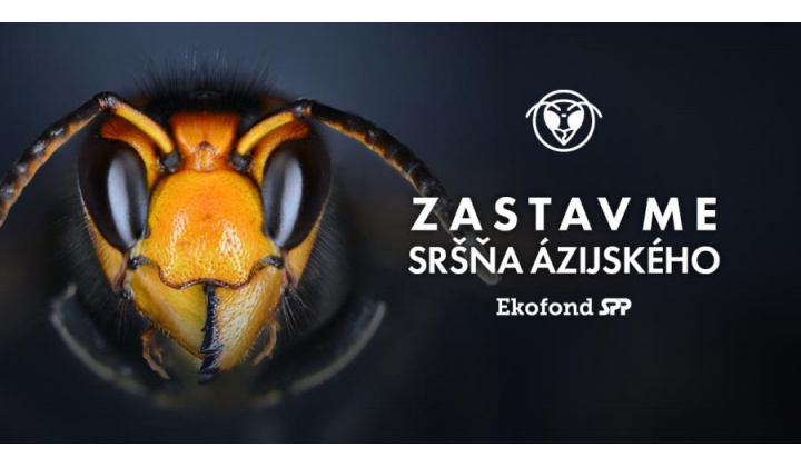 Osvetová kampaň ,,Zastav sršňa“